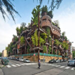 Тваринні мости та переходи, які рятували щороку тисячі тварин