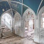 Новий екологічний пошуковик дозволяє висаджувати дерева під час перегляду Інтернету