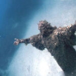 Якщо ви знайдете одне з цих дивних яєчних мішків у вашому задньому дворі, намагайтеся не панікувати.