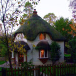 15 Зовсім чудових фото, які розкривають життя в усій його красі