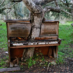 Маленький Зелений Будиночок: Вся Сім’я на 540 Квадратних Футах