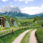 Бонсай з Черепами: Віддають життя мертвим