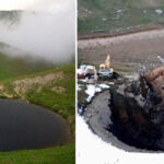 Студіюємо Джунглі Спільної Роботи в Голлівуді, Створені SelgasCano