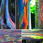 Митець-дереворіз робить неймовірні скульптури лісових тварин, вирізаючи померлі бревна