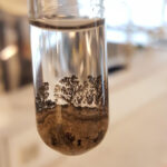 Нідерланди: книжкова полиця з улюблених книг місцевих мешканців