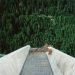 Фрукт гала схожий на внутрішність планети