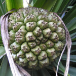 Ці дерев’яні скульптури у піксельному стилі – візуальна головоломка