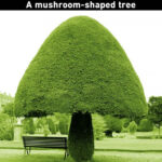 Компанія будує підготовлені будинки хоббітів за 3 дні, і ви справді можете жити тут