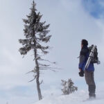 12 Чудових Дерев, Про Які Ти Подумав, Що Вони Ростуть На Пандорі З “Аватара”