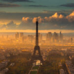 Дерево, яке має 9 500 років, знайдене у Швеції, – одне з найдавніших дерев у світі