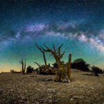 Душа Бокс: Портативний Відпочинок для ‘Глемпінгу’ в Природі