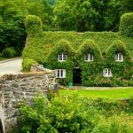 Бібліотеки: Найвелетенсько красиві бібліотеки по всьому світу на фотографіях Франка Бобо