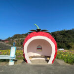 5 Місць, Що Роблять Камбоджу “Королівство Див”