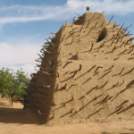 Крові: Надзвичайно Вузьке Рибацьке Село в Шотландії