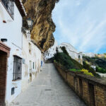 Шазде Гарден: Рай у Серці Пустелі